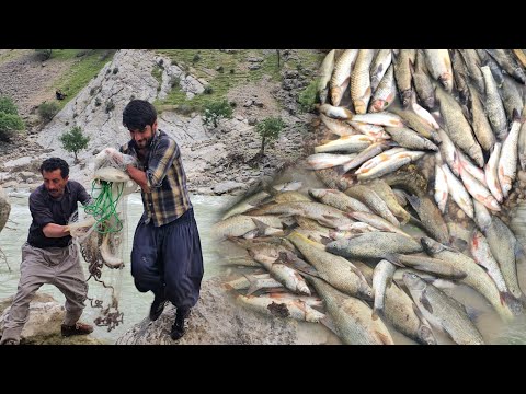 Видео: Кочевое приключение: искусство рыбалки в самом сердце природы. Кочевой образ жизни в Иране🏕 🎣