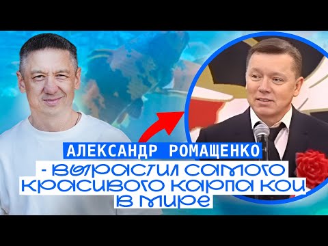 Видео: САМЫЙ КРУПНЫЙ КАРП КОИ В МИРЕ. Победитель 54-го чемпионата мира - Александр Ромащенко. Карпы КОИ.
