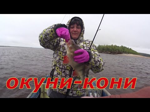 Видео: Окуни 500,600,700 + гр. Ловля горбача.