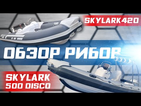 Видео: Обзор рибов SKYLARK 420 и SKYLARK 500 DISCO. #rbsservice #riverboats #ribskylark