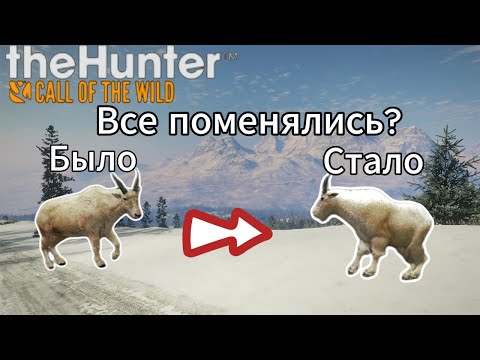 Видео: Новые анимации и механики в обновлении ASKIY RIDGE в the Call of the Wild