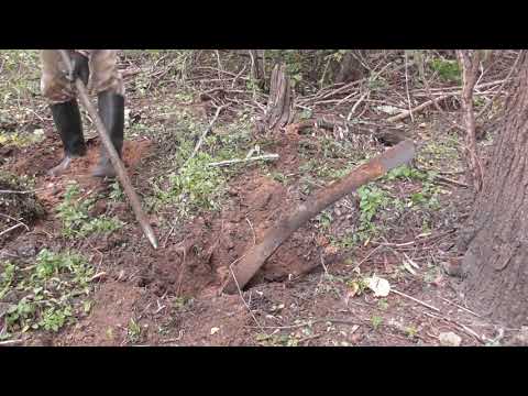Видео: В ВЫСОХШЕМ БОЛОТЕ КОПАЕМ МЕТАЛЛ!!