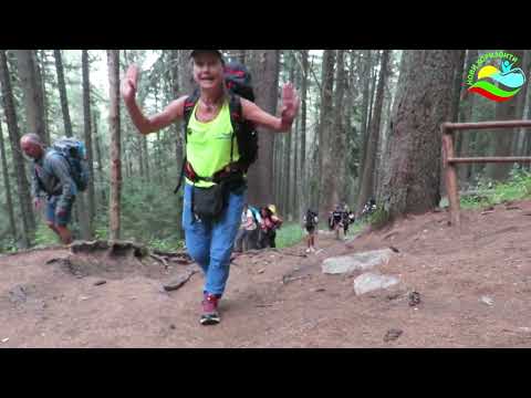 Видео: Малинки