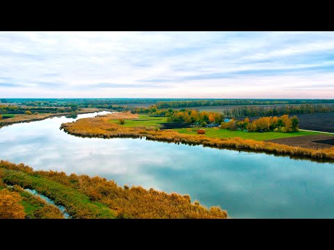 Видео: Темповая Ловля Карпа. Как подобрать ключ в холодной воде ? "Кубок Догмы". Водоем Братковский!
