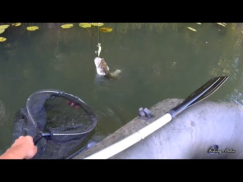 Видео: Рыбалка сплавом по реке Бузулук. Щука на воблер в штиль. Отличный отдых и рыбалка.