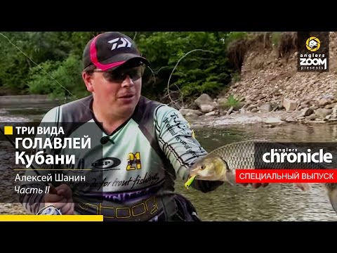 Видео: Три вида голавлей Кубани. Часть 2. Anglers Chronicle.