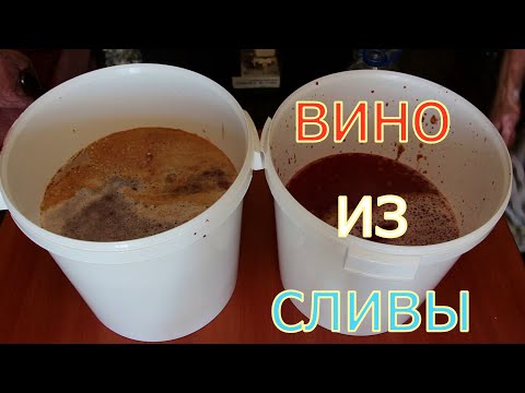 Видео: Домашнее вино из сливы - простой рецепт приготовления. Часть 2