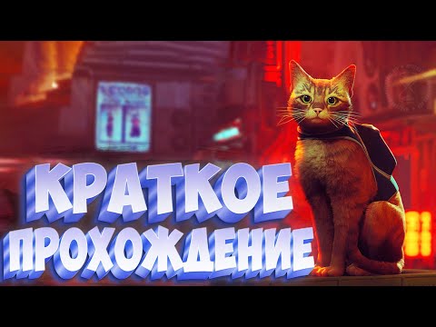 Видео: Краткий пересказ сюжета STRAY