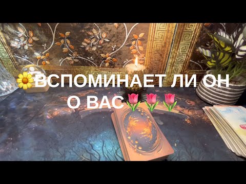 Видео: 13 ноября 2025 г.