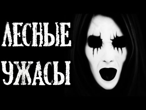 Видео: Лесные ужасы. Страшные истории про Лес (4в1)