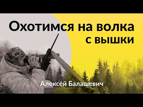 Видео: Охотимся на волка с вышки #охота #волк #тепловизор #спектроптик #технологииохоты #снаряжениеохотника