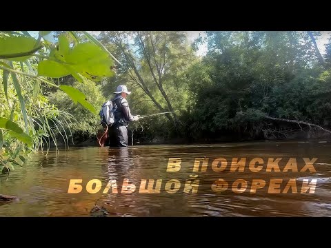 Видео: В Поисках Большой Форели/ Забрели в дебри.
