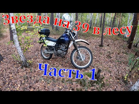 Видео: Suzuki Djebel 200. Звезда на 39 в лесных условиях. 24.09.2021 г. Часть 1.