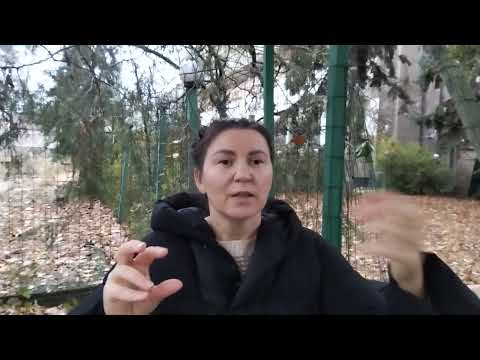 Видео: Эмоции: КЛИЧ