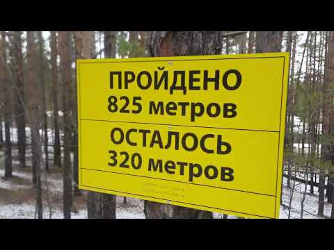 Видео: Тропа здоровья