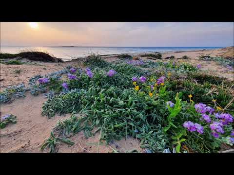 Видео: Рудольф Штайнер. Происхождение Страданий.