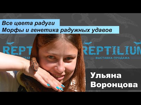 Видео: Все цвета радуги  Морфы и генетика радужных удавов