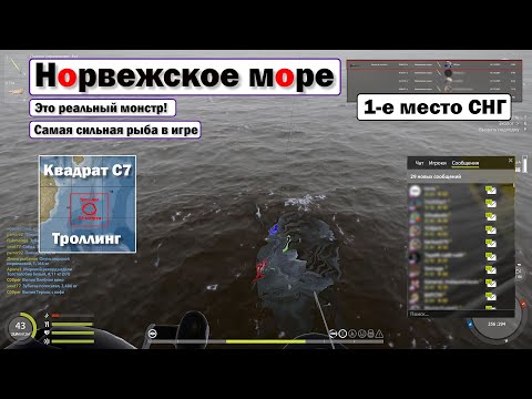 Видео: Гигантская акула • Самая сильная рыба в игре • Гроза Норвежского Моря! • Русская Рыбалка 4