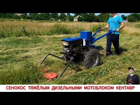 Видео: ПЕРВЫЙ ПОКОС ТРАВЫ ТЯЖЁЛЫМ ДИЗЕЛЬНЫМИ МОТОБЛОКОМ ,СЕЗОН 2023/ MOWING GRASS FOR HAY ,SEASON 2023