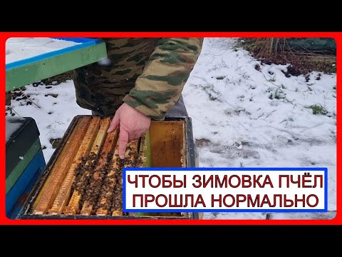 Видео: 📘 Очень серьёзная ошибка при зимовке пчел на улице 2024 📘