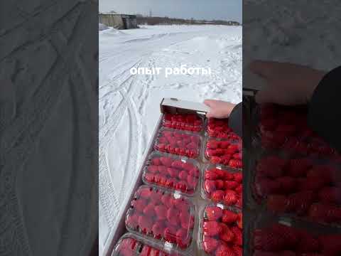 Видео: Клубника и томат в Таиланде #garden #food #агробизнес #клубничныйбизнес #инвестиции #реальныйбизнес