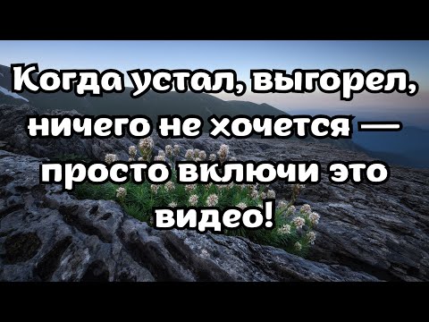 Видео: Аффирмации для тех, кто устал. Когда ничего не хочется. Как пережить апатию
