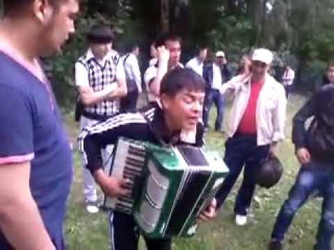 Видео: Жыргал Абдылдаев Курбулар