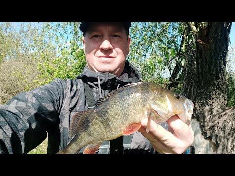 Видео: "Погодка" для рыбалки на микруху!