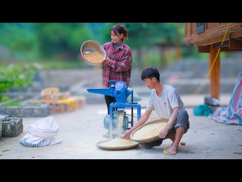 Видео: Вырастите 1000 цыплят с помощью СЕКРЕТНОГО метода фермы Thao Vy Garden Farm! Сбор яблок, садоводство