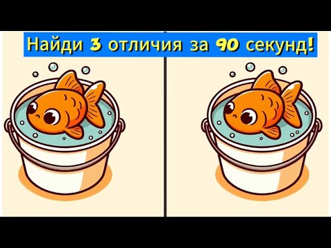 Видео: Найди 3 отличия за 90 секунд!