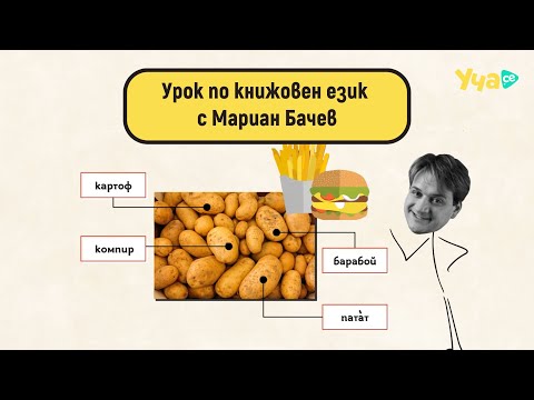 Видео: Урок по книжовен език с Мариан Бачев