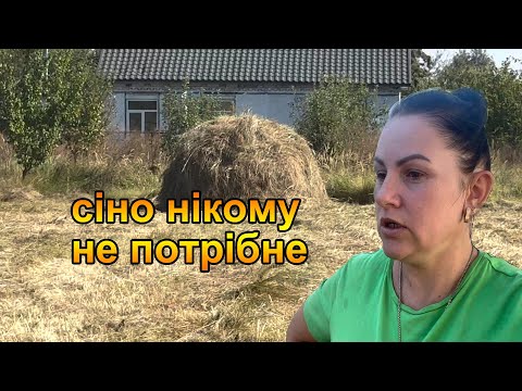 Видео: Оце так знахідка в кінці городу!!! Збираємо сіно!