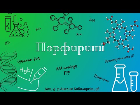 Видео: Биосинтеза на порфирини. Порфирии /Porphyrin biosynthesis. Porphyria