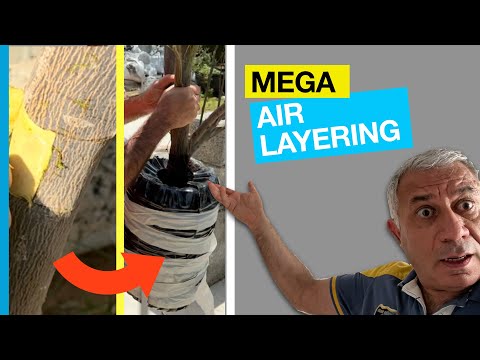 Видео: МЕГА ВОЗДУШНАЯ ОТСЛОЕВКА