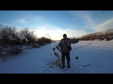 Видео: Изорвали все хапуги этими гигантами. Нашли где стояла рыба.