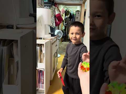 Видео: День тюлень☺️