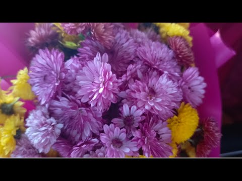 Видео: Всех люблю и обожаю и немножко поболтаю 😉🤗