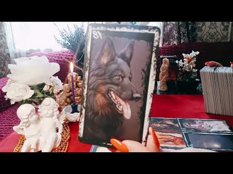 Видео: 🔮 МОЩНО 🔥 ВАША НОВАЯ ВЕТКА РЕАЛЬНОСТИ  💫ИМЕННО СЕГОДНЯ СТАРТ💃🏼 ❣️ 999❣️ВЫ ПОЙМАЛИ ЗОЛОТУЮ РЫБКУ 🐠🎁