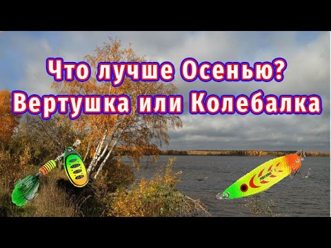 Видео: Что лучше ловит ОСЕНЬЮ ЩУКУ? Щуки реально ВЫБИРАЮТ: Вертушка или Колебалка?