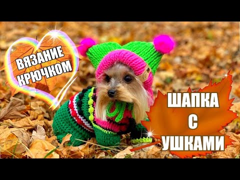 Видео: Милота зашкаливает! Вяжем шапку с ушками для собак и кошек крючком 🐾💕 | Мастер-класс от Яны Skywool