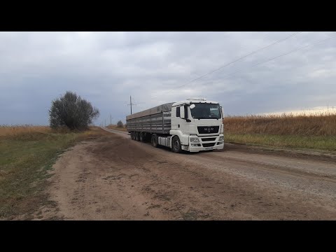 Видео: Временные трудности с работой....поехали возить семечку #MAN #зерновоз #дальнобой