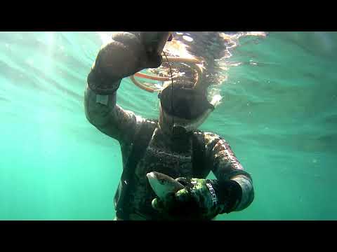 Видео: подводная охота на каспий
