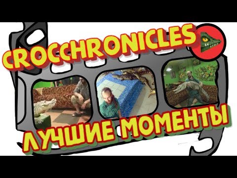 Видео: НАРЕЗКА ЛУЧШИХ МОМЕНТОВ С КАНАЛА CROCCHRONICLES. Самые смешные и интересные кадры!