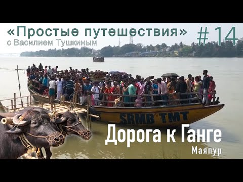 Видео: "Простые путешествия" #14 - Маяпур: Дорога к Ганге