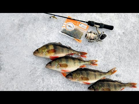 Видео: РЫБАЛКА на ОКУНЯ Зимой на силикон. Подводная съёмка р. Снов.