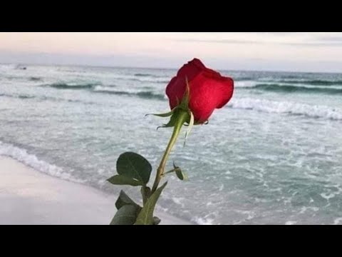Видео: 💘 Ще имаме ли среща скоро? 👩‍❤️‍👨