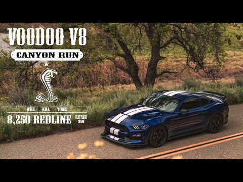 Видео: Ford GT350R Canyon Run — великолепный звук выхлопа Voodoo V8