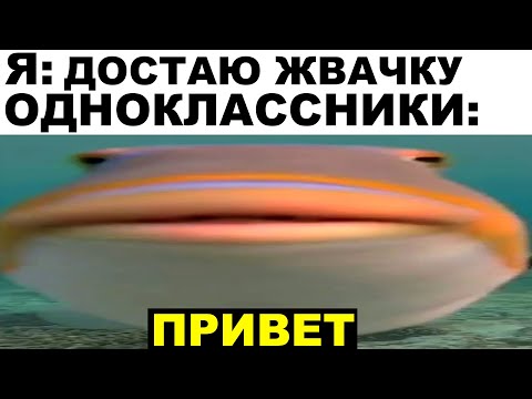 Видео: Мемы | Дневная подборка мемов 400