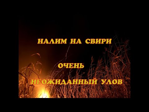 Видео: ЗА НАЛИМОМ НА СВИРЬ. ВОТ ЭТО НЕЖДАНЧИК!!!!