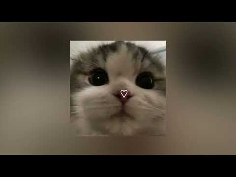 Видео: Самая самая (sped up)